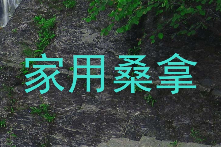 家用桑拿