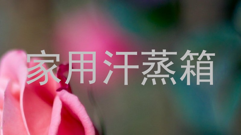 家用汗蒸箱