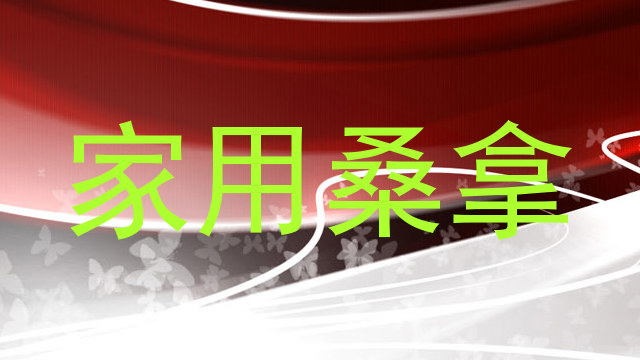 家用桑拿