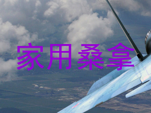 家用桑拿