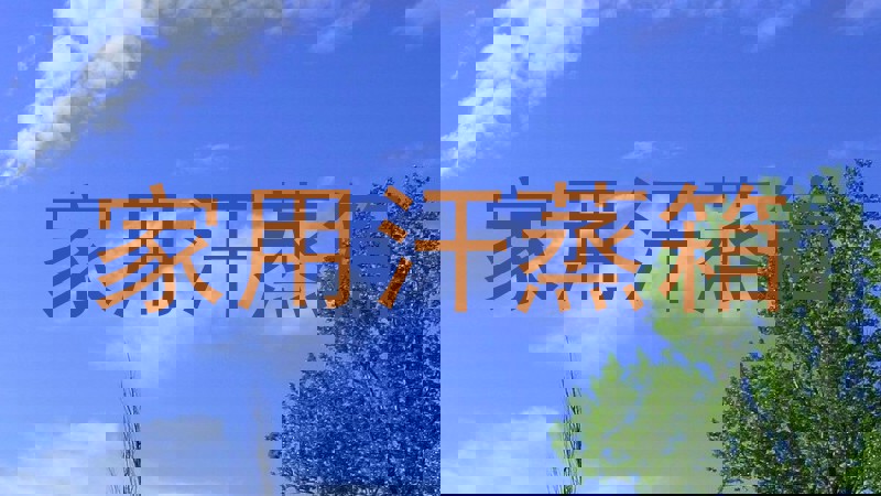 家用汗蒸箱