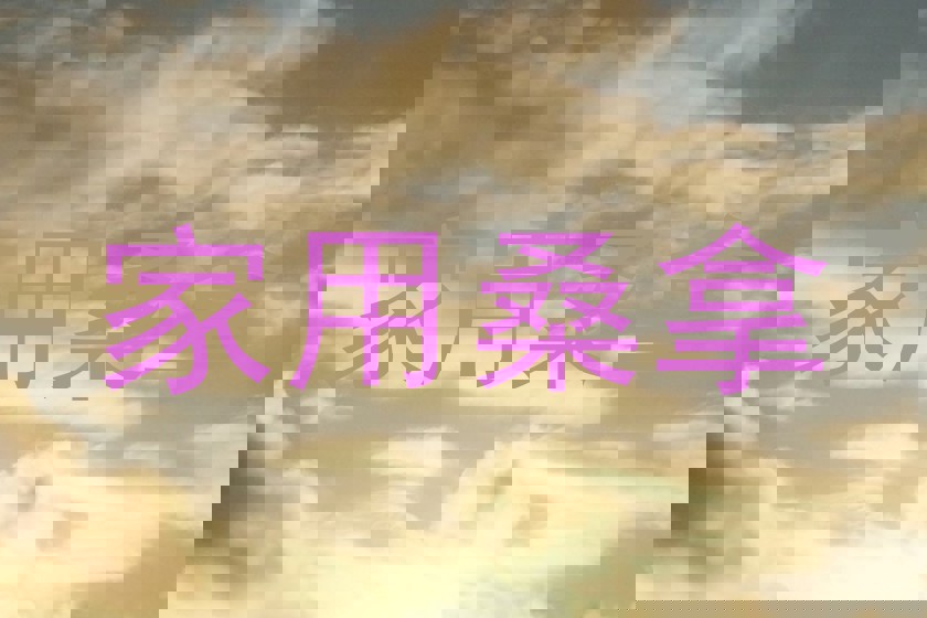 家用桑拿