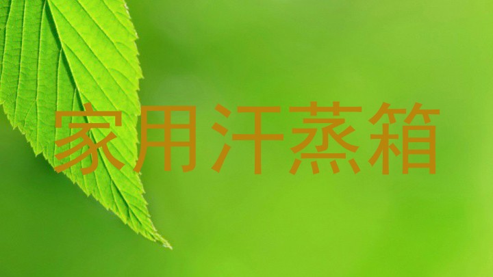 家用汗蒸箱