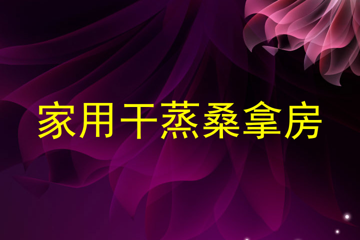 家用干蒸桑拿房