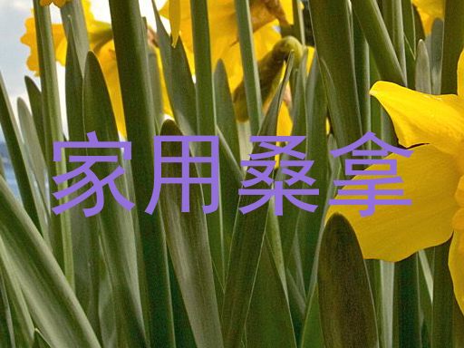 家用桑拿