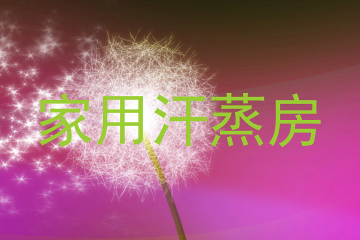 家用汗蒸房