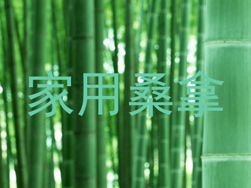 家用桑拿