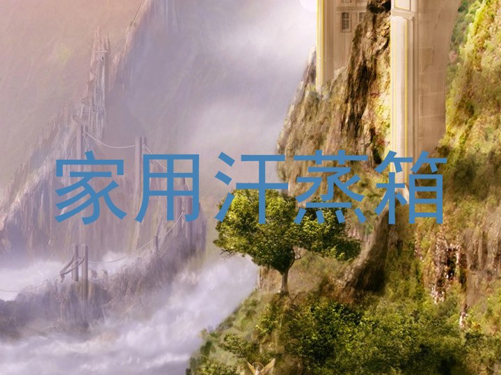 家用汗蒸箱