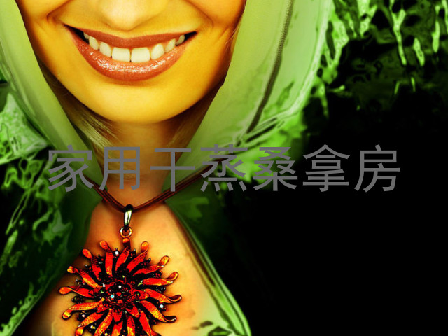 家用干蒸桑拿房