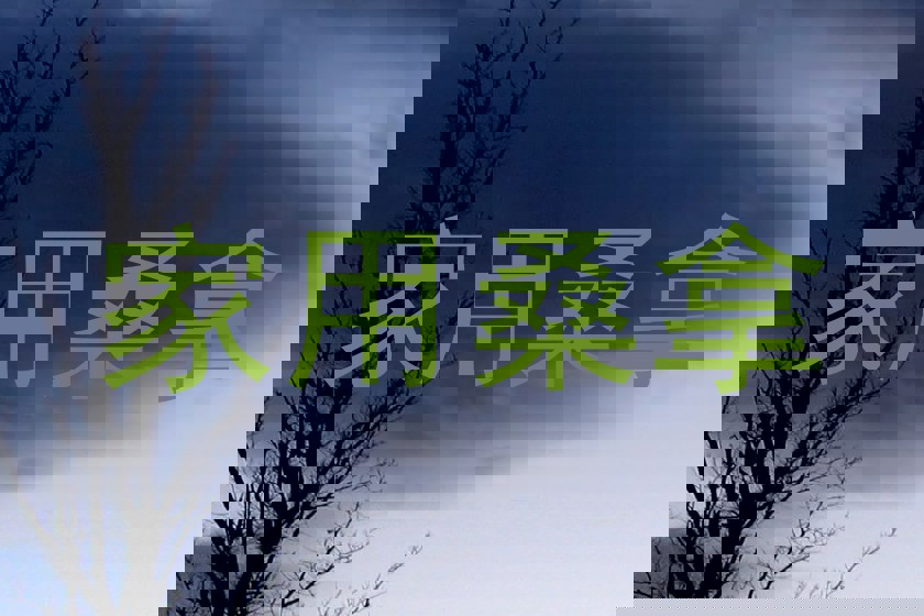 家用桑拿