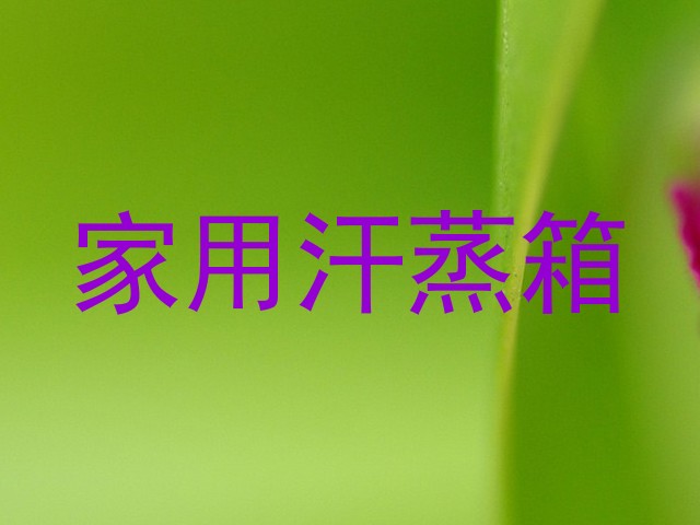 家用汗蒸箱