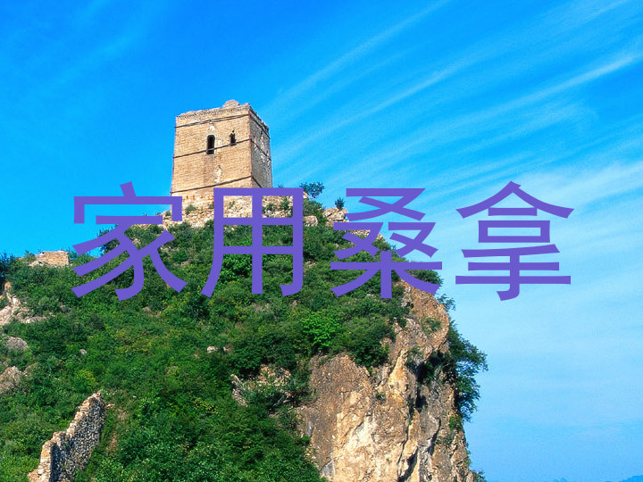 家用桑拿