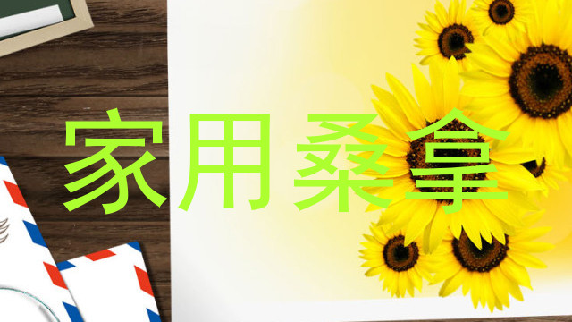家用桑拿