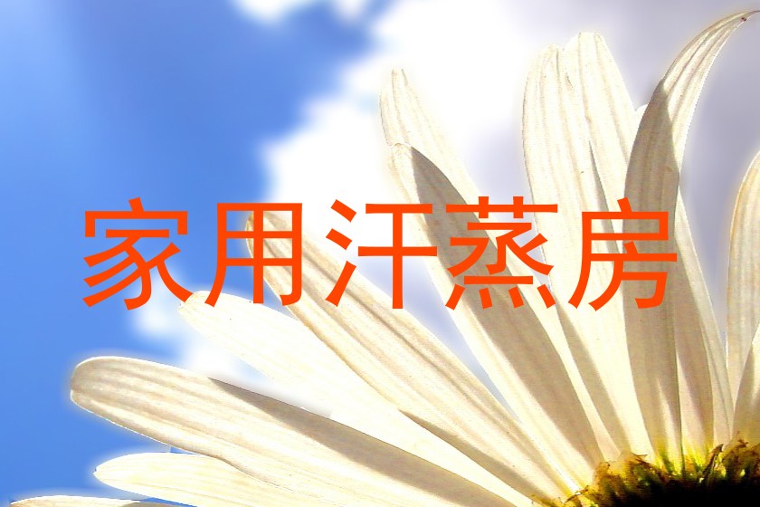 家用汗蒸房