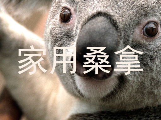 家用桑拿