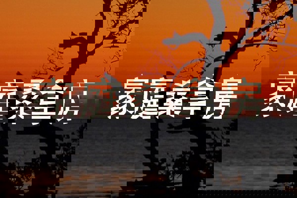 家庭桑拿房
