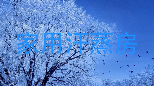 家用汗蒸房