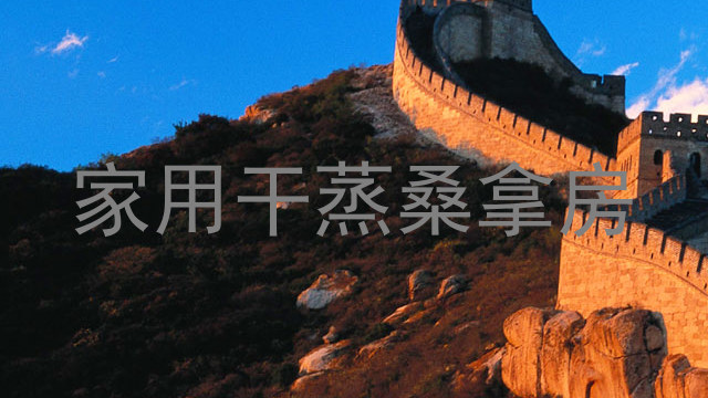 家用干蒸桑拿房