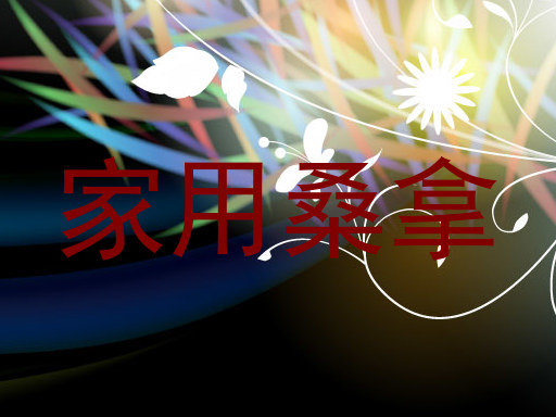 家用桑拿