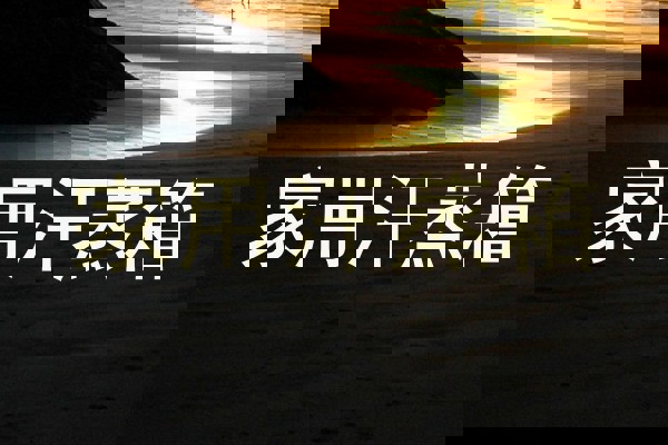 家用汗蒸箱