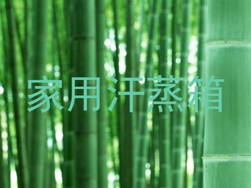 家用汗蒸箱