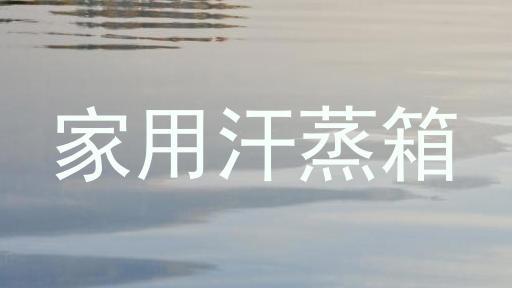 家用汗蒸箱