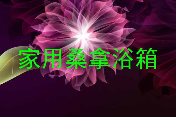 家用桑拿浴箱