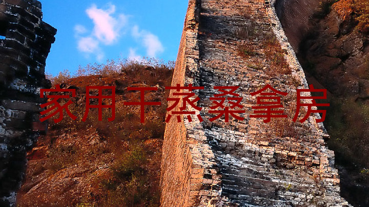 家用干蒸桑拿房