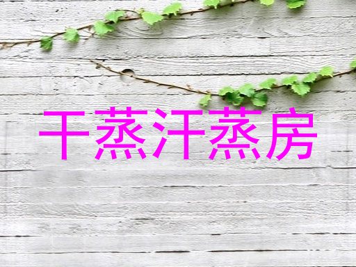 干蒸汗蒸房