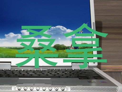 桑拿