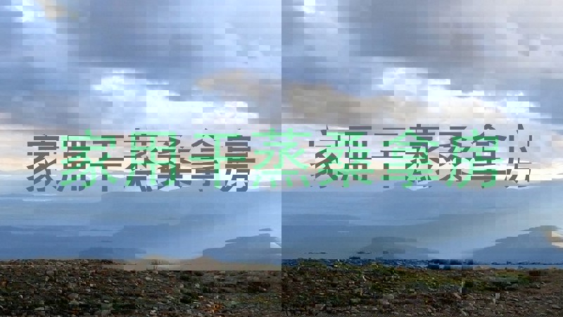 家用干蒸桑拿房