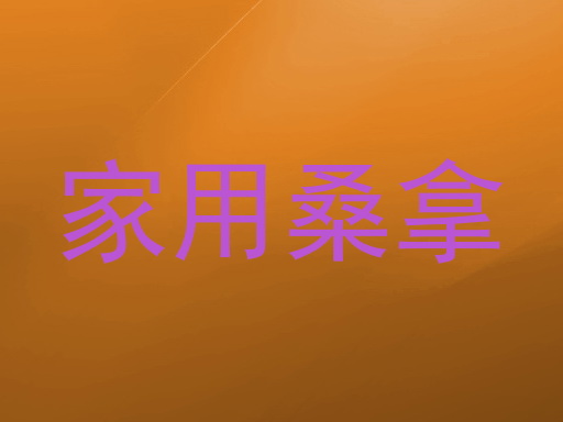 家用桑拿