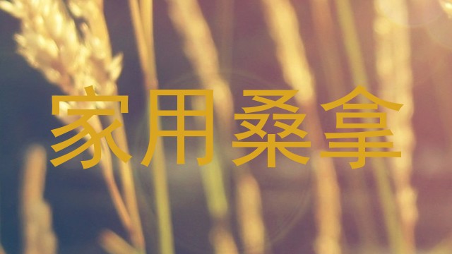 家用桑拿