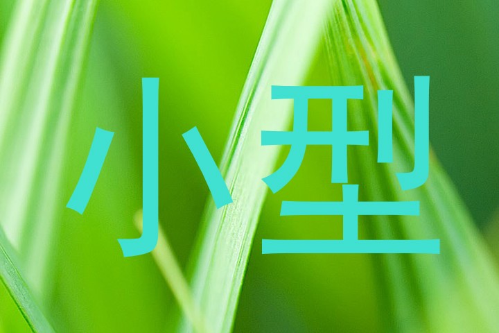 小型