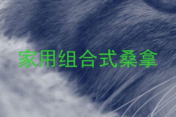 家用组合式桑拿