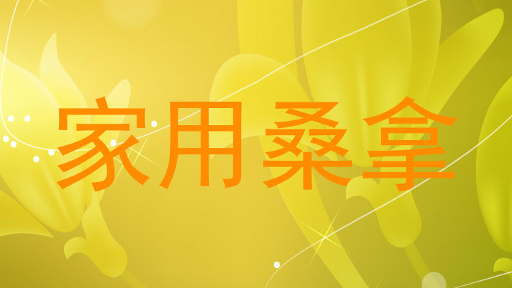 家用桑拿