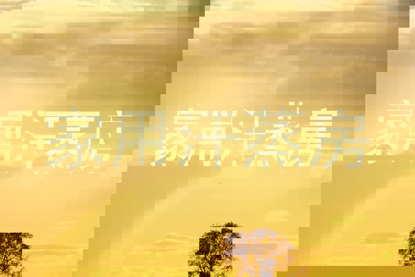家用汗蒸房