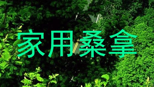 家用桑拿