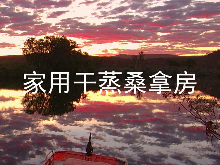 家用干蒸桑拿房