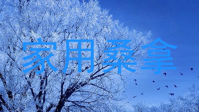 家用桑拿