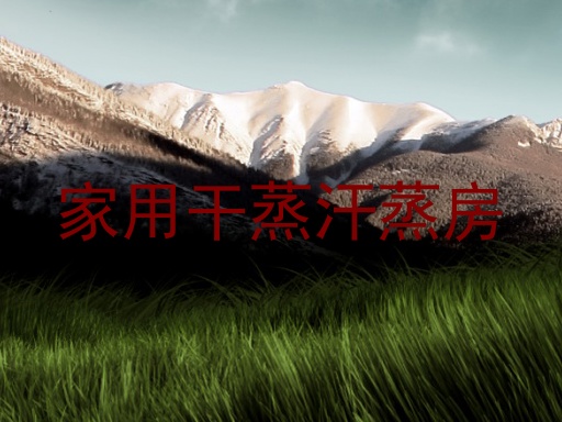家用干蒸汗蒸房