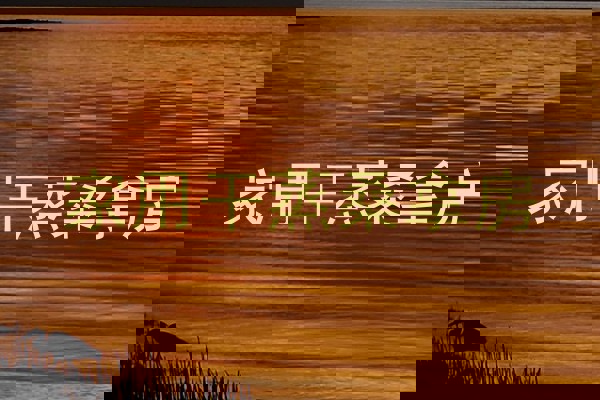 家用干蒸桑拿房