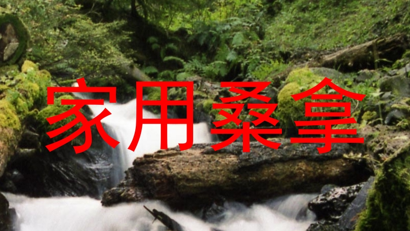家用桑拿