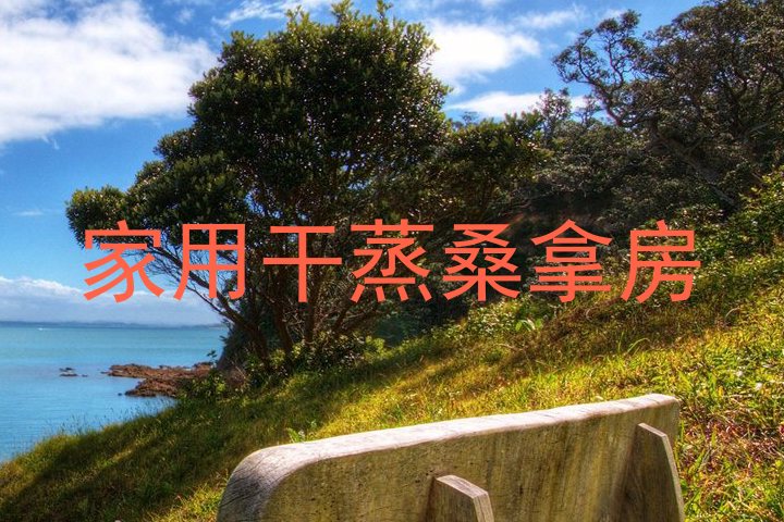 家用干蒸桑拿房