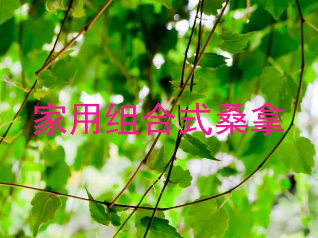 家用组合式桑拿