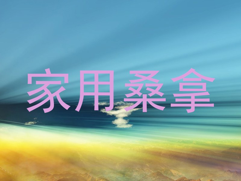 家用桑拿