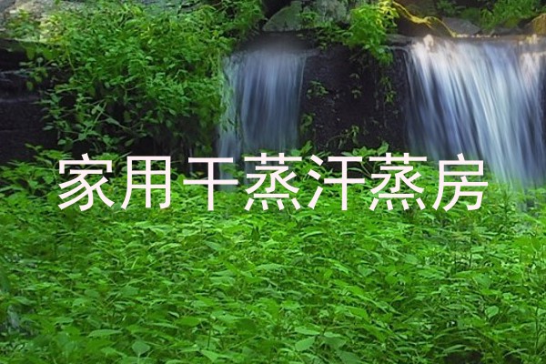 家用干蒸汗蒸房