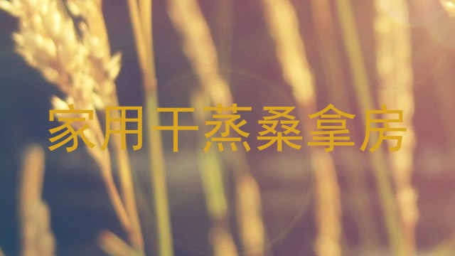 家用干蒸桑拿房