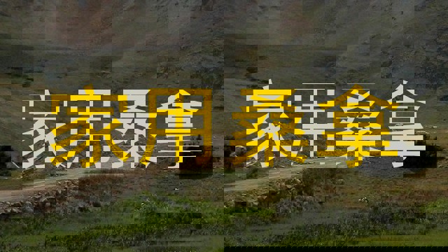 家用桑拿