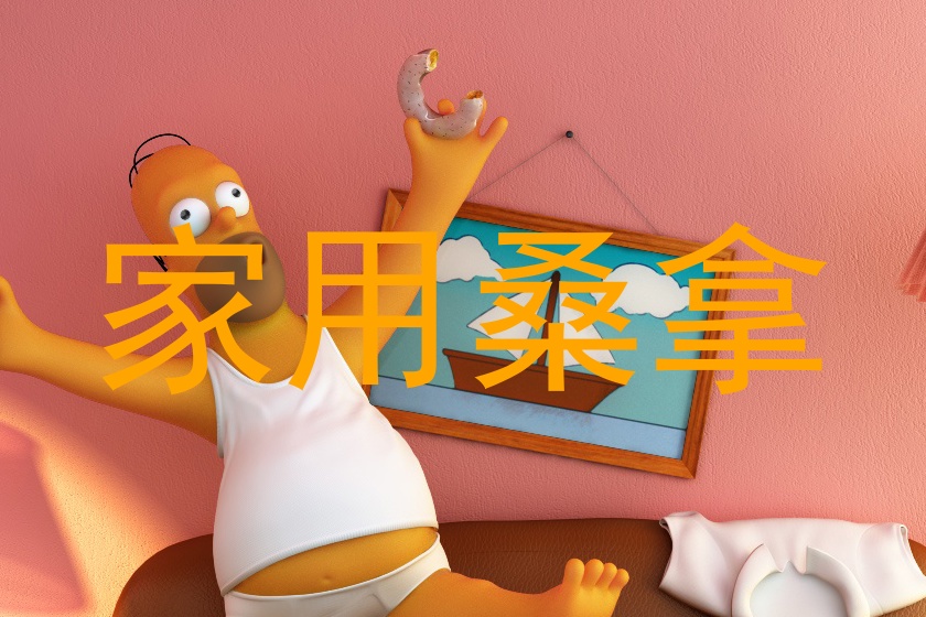 家用桑拿
